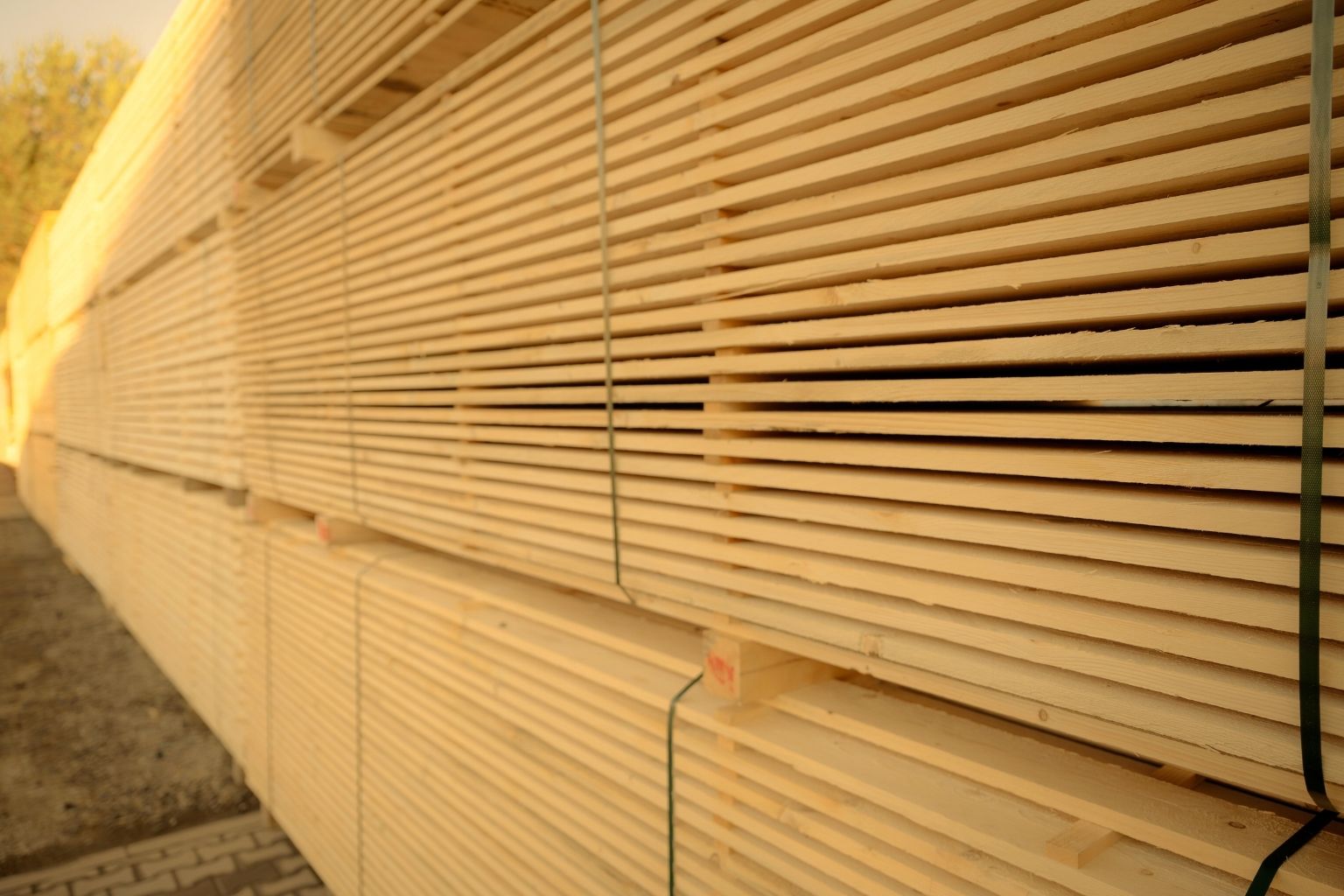 marusik-stavebni-rezivo